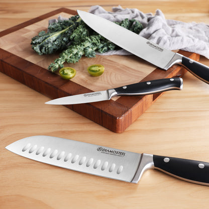 Diamosteel Knife Set 3-Piece, Include Chef & Santoku & Paring Knife, Professional High Carbon Stainless Steel Knives Set for Kitchen with Ergonomic ABS Handle Elegant Box