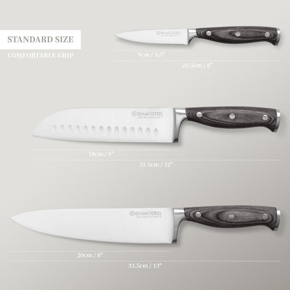 Diamosteel Kitchen Knife Set 3PCS Professional Chef Knife Set High Carbon Stainless Steel, Cooking Knife Set with Ergonomic Pakkawood Handle Gifts for Chef