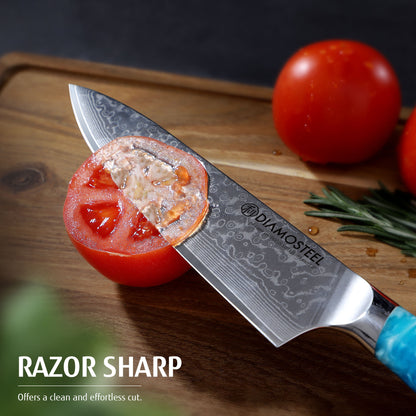 Diamosteel Professional Japanese Chef Knife 8", Ultra Sharp Damascus Steel Knife with Blue Resin Handle, Gyuto Chef Knife for Meat & Vegetable Cutting