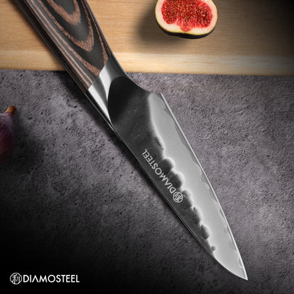Paring Knife - 3.5-Inch Professional Kitchen Knife - Hammered Black Oxide Blade Japanese 9CR18MOV High Carbon Stainless Steel Sharp fruit Knife - Ergonomic Pakkawood Handle with Present Box