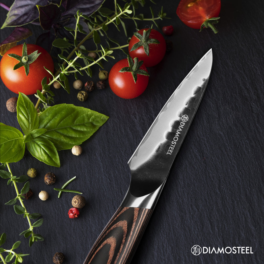 Paring Knife - 3.5-Inch Professional Kitchen Knife - Hammered Black Oxide Blade Japanese 9CR18MOV High Carbon Stainless Steel Sharp fruit Knife - Ergonomic Pakkawood Handle with Present Box