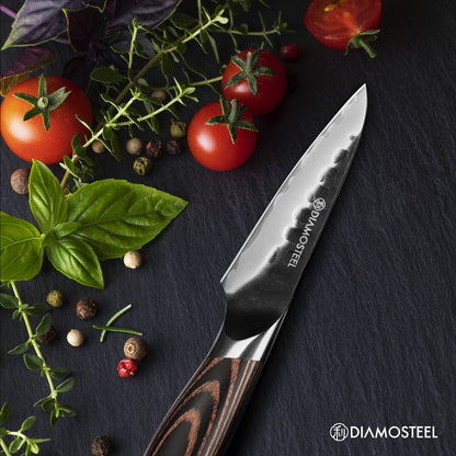 Paring Knife - 3.5-Inch Professional Kitchen Knife - Hammered Black Oxide Blade Japanese 9CR18MOV High Carbon Stainless Steel Sharp fruit Knife - Ergonomic Pakkawood Handle with Present Box