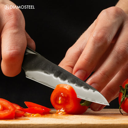 Paring Knife - 3.5-Inch Professional Kitchen Knife - Hammered Black Oxide Blade Japanese 9CR18MOV High Carbon Stainless Steel Sharp fruit Knife - Ergonomic Pakkawood Handle with Present Box